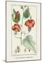 Turpin Tropical Botanicals IV-Turpin-Mounted Art Print