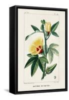 Turpin Tropical Botanicals VI-Turpin-Framed Stretched Canvas
