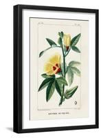 Turpin Tropical Botanicals VI-Turpin-Framed Art Print