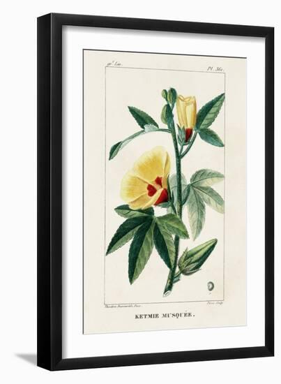 Turpin Tropical Botanicals VI-Turpin-Framed Art Print