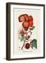 Turpin Tropical Botanicals VII-Turpin-Framed Art Print