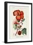 Turpin Tropical Botanicals VII-Turpin-Framed Art Print