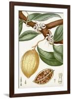 Turpin Tropical Fruit II-Turpin-Framed Art Print