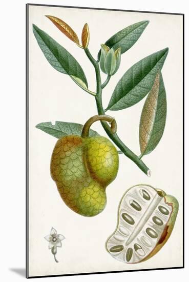 Turpin Tropical Fruit III-Turpin-Mounted Art Print