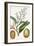 Turpin Tropical Fruit X-Turpin-Framed Art Print