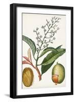 Turpin Tropical Fruit X-Turpin-Framed Art Print