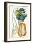 Turpin Tropical Fruit XII-Turpin-Framed Art Print