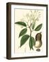 Turpin Tropicals I-Turpin-Framed Art Print