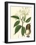 Turpin Tropicals I-Turpin-Framed Art Print