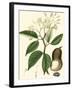 Turpin Tropicals I-Turpin-Framed Art Print