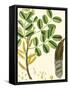 Turpin Tropicals VI-Turpin-Framed Stretched Canvas