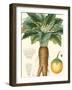 Turpin Tropicals VII-Turpin-Framed Art Print