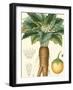 Turpin Tropicals VII-Turpin-Framed Art Print