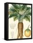 Turpin Tropicals VII-Turpin-Framed Stretched Canvas