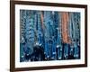 Turquoise and Squash Blossom Necklaces, Made by Native Americans Lining Walls of Store-Michael Mauney-Framed Photographic Print