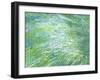 Turquoise Beach-Margaret Juul-Framed Giclee Print