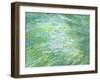 Turquoise Beach-Margaret Juul-Framed Giclee Print