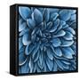 Turquoise Bloom-Sydney Edmunds-Framed Stretched Canvas