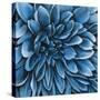 Turquoise Bloom-Sydney Edmunds-Stretched Canvas