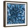 Turquoise Bloom-Sydney Edmunds-Framed Giclee Print