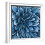 Turquoise Bloom-Sydney Edmunds-Framed Giclee Print