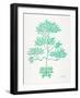 Turquoise Bonsai-Cat Coquillette-Framed Art Print