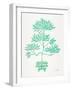 Turquoise Bonsai-Cat Coquillette-Framed Art Print