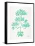 Turquoise Bonsai-Cat Coquillette-Framed Stretched Canvas