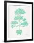 Turquoise Bonsai-Cat Coquillette-Framed Giclee Print