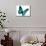 Turquoise Butterfly-suns_luck-Mounted Photographic Print displayed on a wall