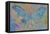 Turquoise Butterfly-Cora Niele-Framed Stretched Canvas