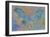 Turquoise Butterfly-Cora Niele-Framed Giclee Print