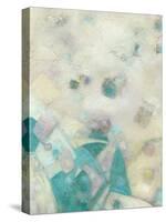 Turquoise Celebration I-Beverly Crawford-Stretched Canvas