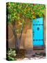 Turquoise Door, Santa Fe, New Mexico-Tom Haseltine-Stretched Canvas