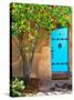 Turquoise Door, Santa Fe, New Mexico-Tom Haseltine-Stretched Canvas