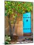 Turquoise Door, Santa Fe, New Mexico-Tom Haseltine-Mounted Photographic Print