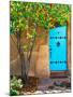 Turquoise Door, Santa Fe, New Mexico-Tom Haseltine-Mounted Photographic Print