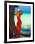 Turquoise Dreams, Cayman Islands-George Oze-Framed Photographic Print