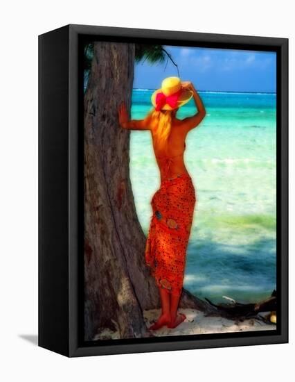 Turquoise Dreams, Cayman Islands-George Oze-Framed Stretched Canvas