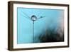 Turquoise Evening-Heidi Westum-Framed Photographic Print