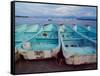 Turquoise Fishing Boats in Fishing Village, North of Puerto Vallarta, Colonial Heartland, Mexico-Tom Haseltine-Framed Stretched Canvas