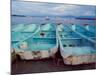 Turquoise Fishing Boats in Fishing Village, North of Puerto Vallarta, Colonial Heartland, Mexico-Tom Haseltine-Mounted Photographic Print