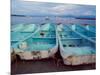 Turquoise Fishing Boats in Fishing Village, North of Puerto Vallarta, Colonial Heartland, Mexico-Tom Haseltine-Mounted Photographic Print