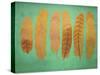 Turquoise & Gold Feather 1-Natasha Wescoat-Stretched Canvas