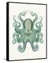 Turquoise Octopus and Squid a-Fab Funky-Framed Stretched Canvas