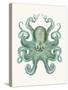 Turquoise Octopus and Squid a-Fab Funky-Stretched Canvas