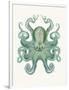 Turquoise Octopus and Squid a-Fab Funky-Framed Premium Giclee Print