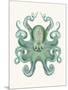 Turquoise Octopus and Squid a-Fab Funky-Mounted Premium Giclee Print