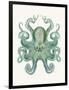 Turquoise Octopus and Squid a-Fab Funky-Framed Premium Giclee Print
