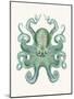 Turquoise Octopus and Squid a-Fab Funky-Mounted Art Print